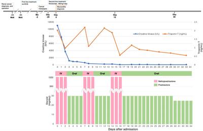 Immune Checkpoint Inhibitor-Related Myositis Overlapping With Myocarditis: An Institutional Case Series and a Systematic Review of Literature